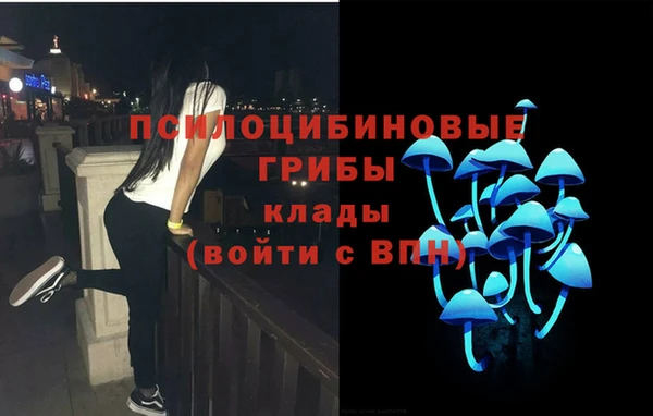 ПСИЛОЦИБИНОВЫЕ ГРИБЫ Алексеевка