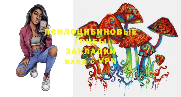 ПСИЛОЦИБИНОВЫЕ ГРИБЫ Алексеевка