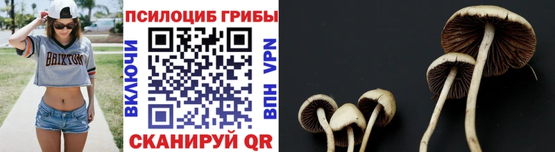KRAKEN вход  Белгород  Псилоцибиновые грибы GOLDEN TEACHER  наркотики 