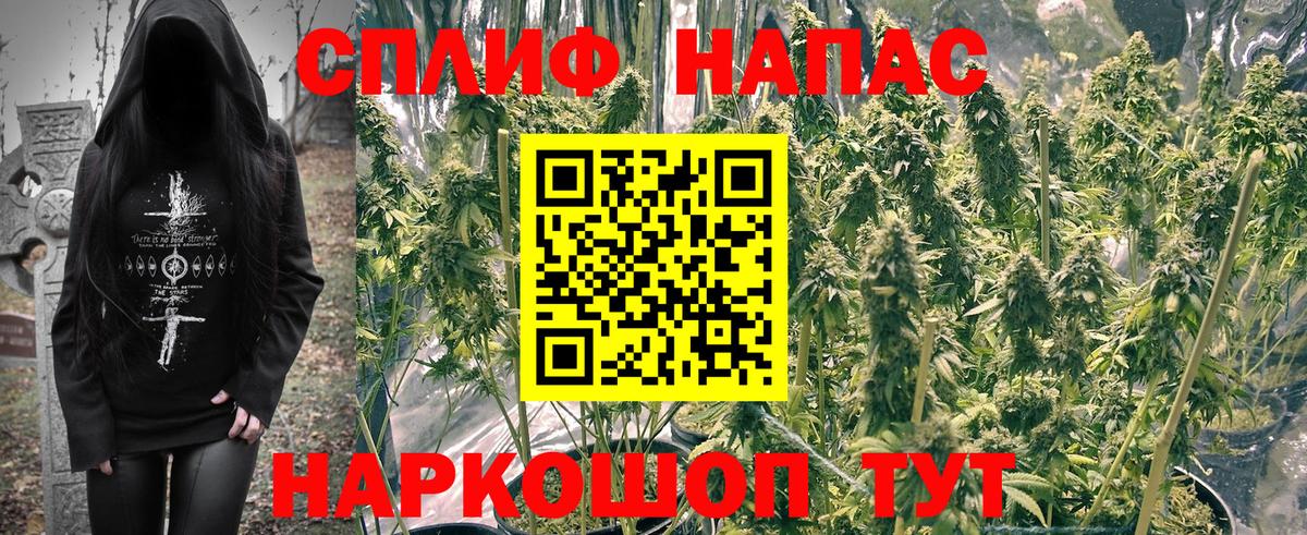 Шишки марихуана Amnesia  Вход с VPN  Канабис сатива  МАРИХУАНА White Widow  Белгород  Канабис марихуана 